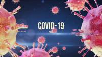 Рекомендации родителям на период эпидемии коронавирусной инфекции